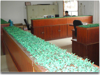 office