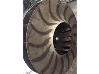 Stainless steel fan