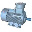 YB2 series flame-proof three-phase asynchronous motor